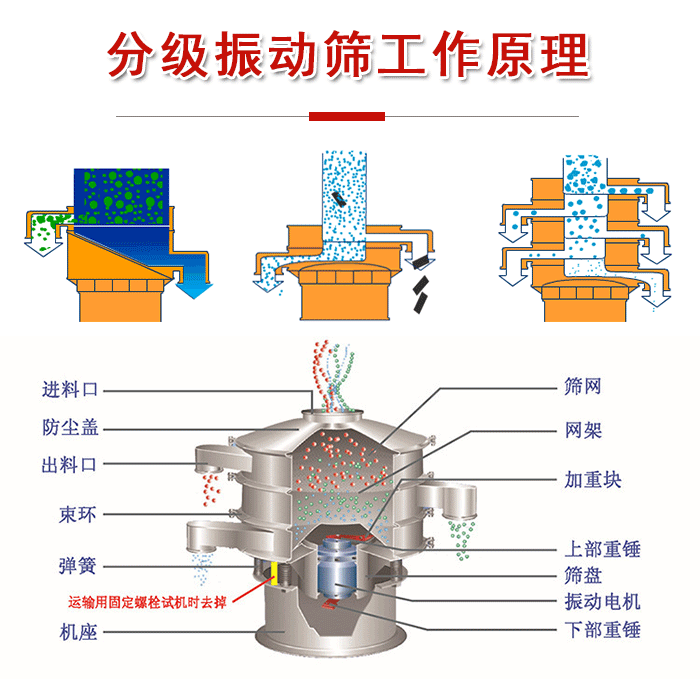 分級(jí)振動(dòng)篩內(nèi)部結(jié)構(gòu)：進(jìn)料口，防塵蓋，出料口，束環(huán)，彈簧，機(jī)座，篩網(wǎng)，網(wǎng)架，上部重錘，振動(dòng)電機(jī)，下部重錘。